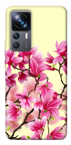 Чехол itsPrint Цветы сакуры для Xiaomi 12T / 12T Pro