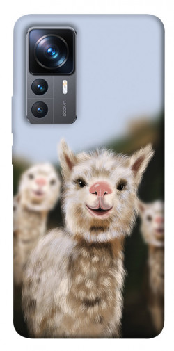 Чохол itsPrint Funny llamas для Xiaomi 12T / 12T Pro