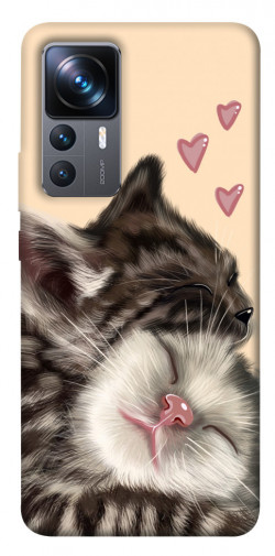 Чехол itsPrint Cats love для Xiaomi 12T / 12T Pro
