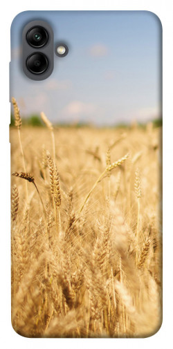 Чехол itsPrint Поле пшеницы для Samsung Galaxy A04