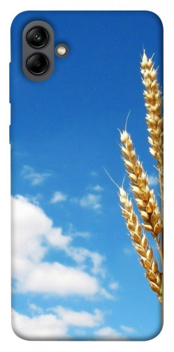 Чехол itsPrint Пшеница для Samsung Galaxy A04