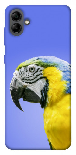 Чехол itsPrint Попугай ара для Samsung Galaxy A04