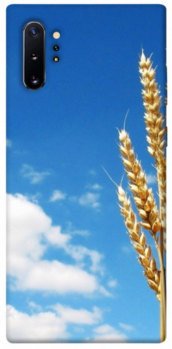 Чохол itsPrint Пшениця для Samsung Galaxy Note 10 Plus