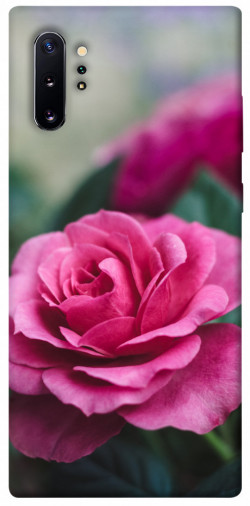 Чехол itsPrint Роза в саду для Samsung Galaxy Note 10 Plus