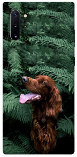 Чехол itsPrint Собака в зелени для Samsung Galaxy Note 10 Plus