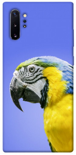 Чохол itsPrint Папуга ара для Samsung Galaxy Note 10 Plus
