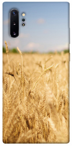 Чехол itsPrint Поле пшеницы для Samsung Galaxy Note 10 Plus