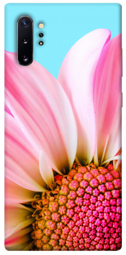 Чохол itsPrint Квіткові пелюстки для Samsung Galaxy Note 10 Plus