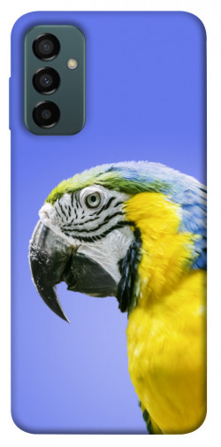 Чехол itsPrint Попугай ара для Samsung Galaxy M13 4G