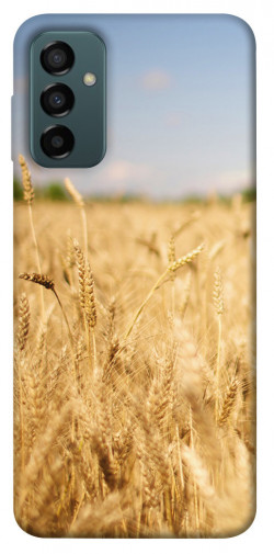 Чехол itsPrint Поле пшеницы для Samsung Galaxy M13 4G
