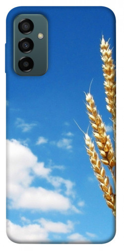 Чехол itsPrint Пшеница для Samsung Galaxy M13 4G