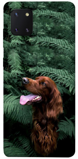 Чехол itsPrint Собака в зелени для Samsung Galaxy Note 10 Lite (A81)