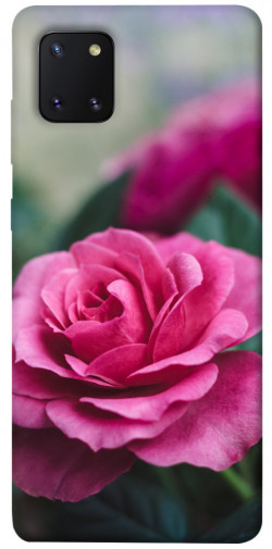 Чохол itsPrint Троянда у саду для Samsung Galaxy Note 10 Lite (A81)