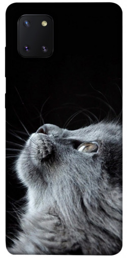 Чохол itsPrint Cute cat для Samsung Galaxy Note 10 Lite (A81)