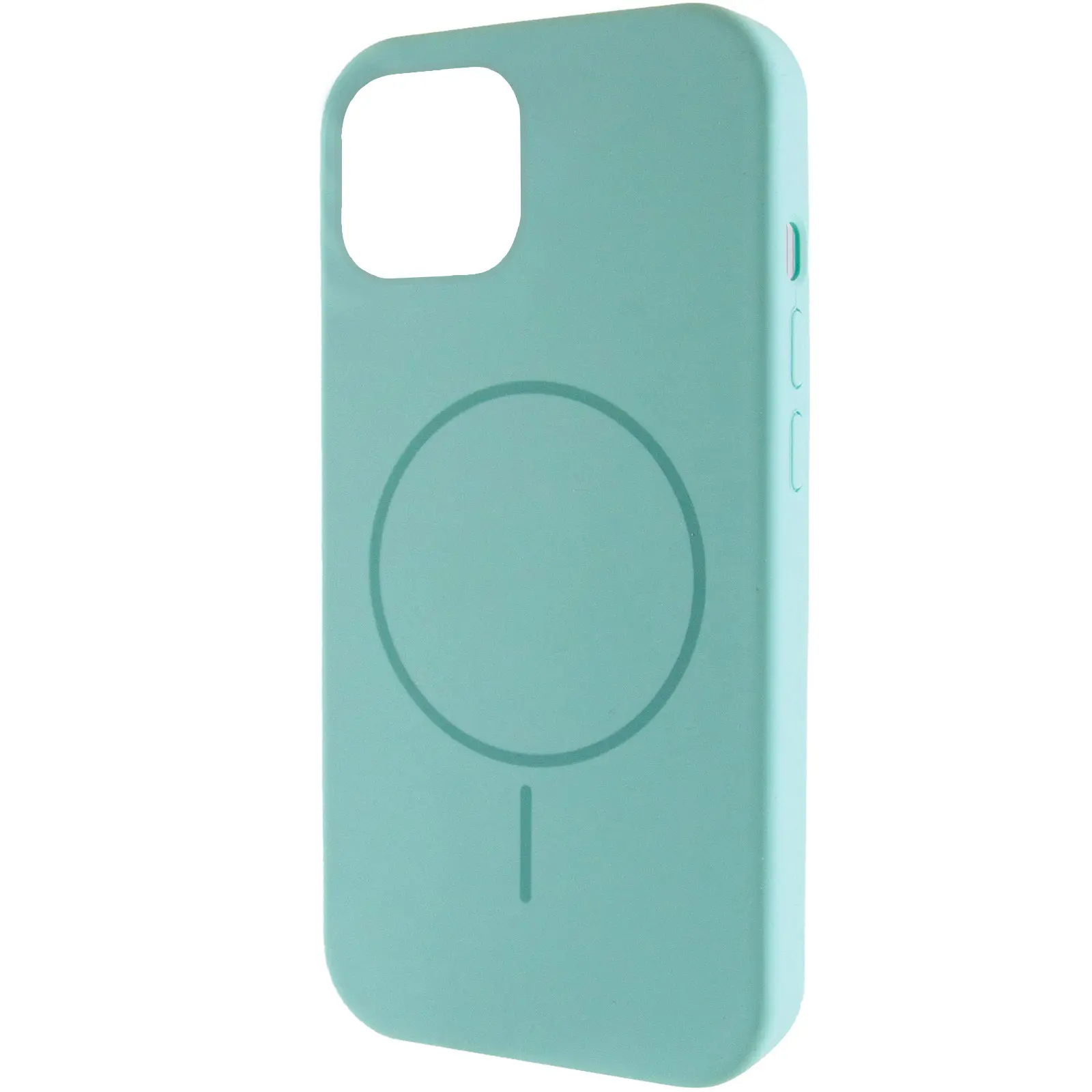 Чехол Silicone Case Full Protective (AA) NO LOGO with MagSafe для Apple iPhone 11 (6.1"), Бирюзовый / Marine Green, Силикон, купить оптом с доставкой