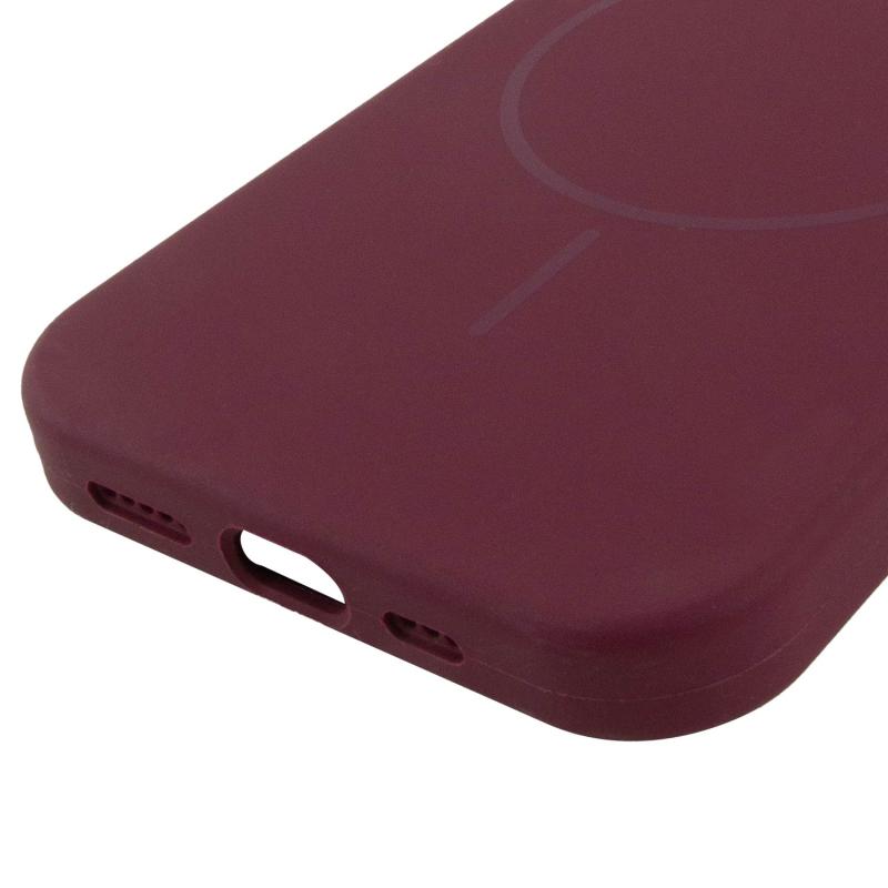 Чохол Silicone Case Full Protective (AA) NO LOGO with MagSafe для Apple iPhone 11 (6.1) на малюнкі №5