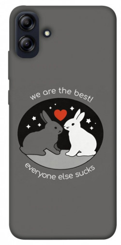 Чехол itsPrint Rabbits для Samsung Galaxy A04e