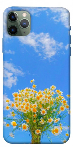Чехол itsPrint Sky flowers для Apple iPhone 11 Pro Max (6.5")