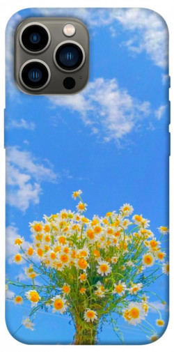 Чехол itsPrint Sky flowers для Apple iPhone 12 Pro Max (6.7")