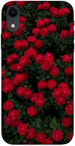 Чехол itsPrint Eternal roses для Apple iPhone XR (6.1")