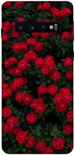 Чехол itsPrint Eternal roses для Samsung Galaxy S10