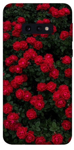 Чехол itsPrint Eternal roses для Samsung Galaxy S10e