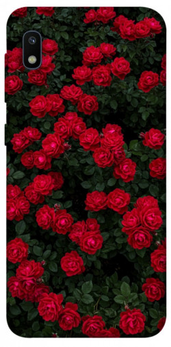 Чохол itsPrint Eternal roses для Samsung Galaxy A10 (A105F)