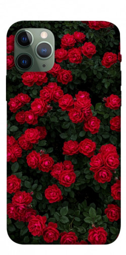 Чехол itsPrint Eternal roses для Apple iPhone 11 Pro (5.8")