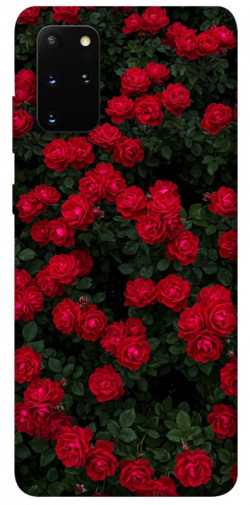 Чохол itsPrint Eternal roses для Samsung Galaxy S20+