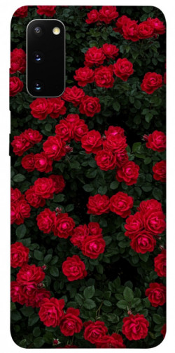 Чехол itsPrint Eternal roses для Samsung Galaxy S20