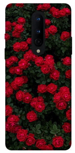 Чехол itsPrint Eternal roses для OnePlus 8