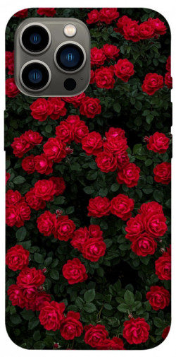 Чехол itsPrint Eternal roses для Apple iPhone 12 Pro Max (6.7")