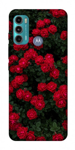 Чехол itsPrint Eternal roses для Motorola Moto G60