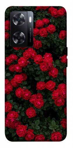 Чехол itsPrint Eternal roses для OnePlus Nord N20 SE