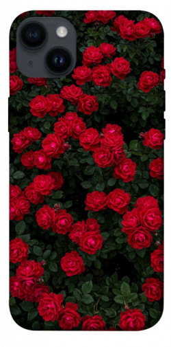 Чехол itsPrint Eternal roses для Apple iPhone 14 Plus (6.7")
