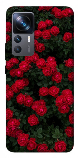 Чехол itsPrint Eternal roses для Xiaomi 12T / 12T Pro