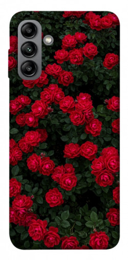 Чехол itsPrint Eternal roses для Samsung Galaxy A04s