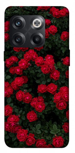 Чехол itsPrint Eternal roses для OnePlus 10T