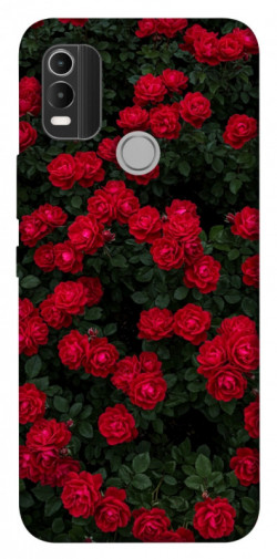 Чехол itsPrint Eternal roses для Nokia C21 Plus