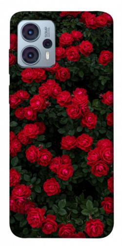 Чехол itsPrint Eternal roses для Motorola Moto G23