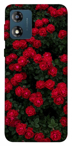 Чехол itsPrint Eternal roses для Motorola Moto E13
