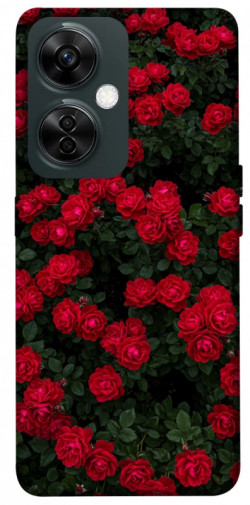 Чехол itsPrint Eternal roses для OnePlus Nord CE 3 Lite