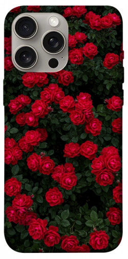Чехол itsPrint Eternal roses для Apple iPhone 15 Pro Max (6.7")