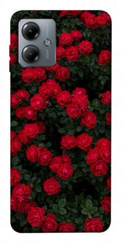 Чехол itsPrint Eternal roses для Motorola Moto G14