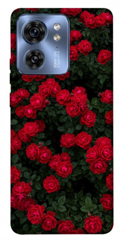 Чехол itsPrint Eternal roses для Motorola Edge 40