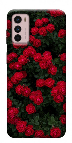 Чехол itsPrint Eternal roses для Motorola Moto G42