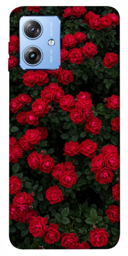 Чехол itsPrint Eternal roses для Motorola Moto G84