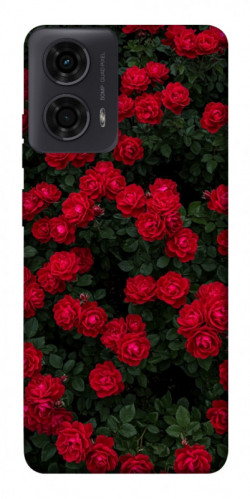 Чехол itsPrint Eternal roses для Motorola Moto G24