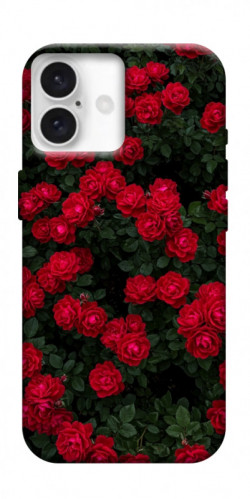 Чехол itsPrint Eternal roses для Apple iPhone 16 Plus (6.7")