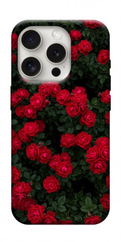 Чехол itsPrint Eternal roses для Apple iPhone 16 Pro Max (6.9")